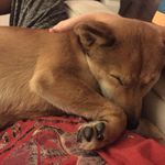 Heidi Schwab - @schwab_heidi - Instagram