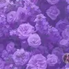 heidi seales - @heidiseales_ - TikTok