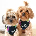Juicy & Izzy + Heidi | super senior dogs-friendly lifestyle - @juicy.and.izzy - Instagram