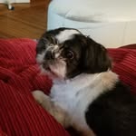 Heidi Shively - @heidi.okorenshively - Instagram