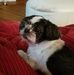 Heidi Shively - Facebook