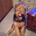 Heidi Shively - @shivelyheidi - Instagram