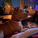 Heidi Shoemaker - @heidirshoemaker - Instagram