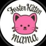 Heidi shoemaker - @fosterkittenmama_ - Instagram