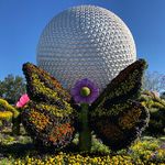 Heidi Shoemaker - @my_magical_guide - Instagram