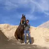 Heidi Shoemaker - @shoemakerhorsemanship - TikTok