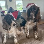 H Smith Style - @heid_ismithers - Instagram