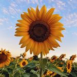 Heidi Smithers - @heidismithers1 - Instagram