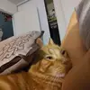 Heidi Smyers - @heidismyers - TikTok