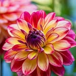 Heidi Spangler - @heidispangler68 - Instagram