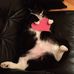 Heidi Stamper - Facebook