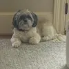 heidistanley0510 - @heidistanley0510 - TikTok
