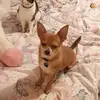 Heidi...Stanley...Link - @heidi...stanley...link - TikTok