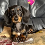 Heidi Stapleton - @heidi.ho.24 - Instagram