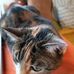 Heidi Stecher - Facebook