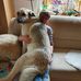 Heidi Steinemer - Facebook