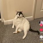 Heidi - @heidistimson_ - Instagram