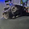 Heidi - @heidirup - TikTok