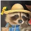 heidistockhill - @heidistockhill - TikTok