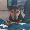 heidistoops - @liesdehaas - TikTok