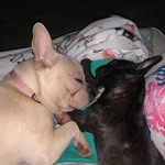 Heidi Storey - @roseyroo__babyscout - Instagram