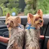 Hailey & Heidi - @haileyheidisaintpierre - TikTok