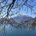 Heidi Streich - Facebook