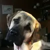 heidistucki6 - @bekcisdoc - TikTok