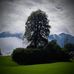 Heidi Stumpf - Facebook