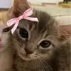 HEIDI!!! - @heidisuarez13 - TikTok