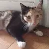 Heidi Suarez - @heidisuarez6 - TikTok