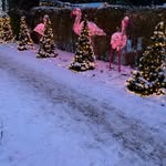 Heidi Suggs - @zerkansabony - Instagram
