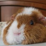 Heidi Sumner - @hrsumner - Instagram