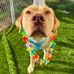 Heidi Sutherland - Facebook