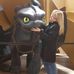 Heidi Sutter - Facebook