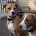 Heidi Tabor - Facebook