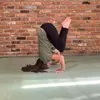 heidihalbert - @heidihalbert - TikTok