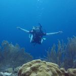 Heidi Tate - @heidiunderthesea - Instagram