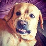 Heidi_Teague_ - @heidi_teague_p - Instagram