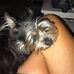 Heidi Teasley - Facebook
