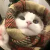 Teeto Heidi - @teeto.heidi5 - TikTok