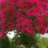heidijteeters58932 - @heidijteeters58932 - TikTok