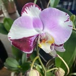 Heidi Thiel - @heid_ideidi - Instagram