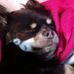 Heidi Thiele - Facebook