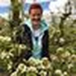 Heidi Thielemans - @heidi_thielemans - Instagram