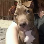 Heidi Unger - @ungerheidi - Instagram