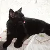 Heidi Unger - @heidi.unger19 - TikTok