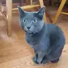 heidi.unger2007 - @heidi.unger2007 - TikTok