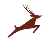 Heidi Vetter - @junelakepremierreservations - Instagram