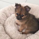 Heidi Vickers - @vickers.heidi - Instagram
